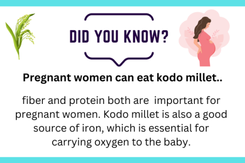 kodo millet and preganancy 