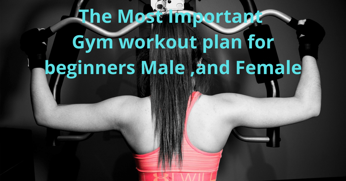 Gym and Workout Tips for all Beginners 